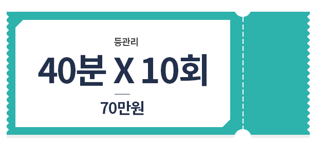 등 관리 관리 40*10 70만원 가격표